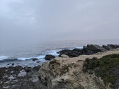 Enlarge photo 167