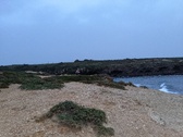 Enlarge photo 172