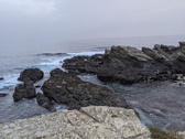 Enlarge photo 180