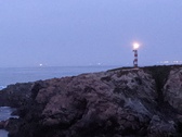 Enlarge photo 188