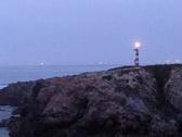 Enlarge photo 187