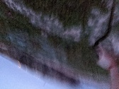 Enlarge photo 193