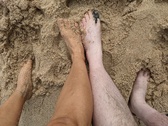 Enlarge photo 229