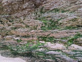 Enlarge photo 235