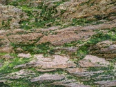 Enlarge photo 234