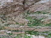 Enlarge photo 233