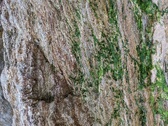 Enlarge photo 236