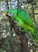 Enlarge photo 24