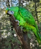 Enlarge photo 26