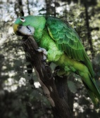 Enlarge photo 27