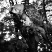Enlarge photo 33