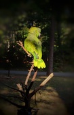 Enlarge photo 37