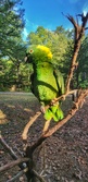 Enlarge photo 38