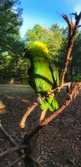 Enlarge photo 39