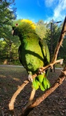 Enlarge photo 41