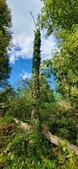 Enlarge photo 59