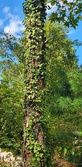 Enlarge photo 66
