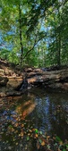 Enlarge photo 92