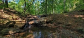 Enlarge photo 93