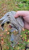 Enlarge photo 95