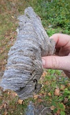 Enlarge photo 96