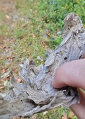 Enlarge photo 97