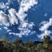 Enlarge photo 99