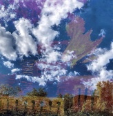 Enlarge photo 103