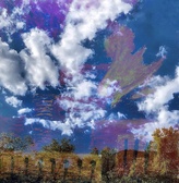 Enlarge photo 110