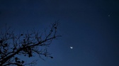 Enlarge photo 111