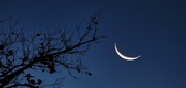 Enlarge photo 125