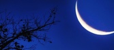 Enlarge photo 123