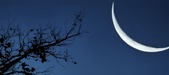 Enlarge photo 129