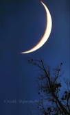 Enlarge photo 137