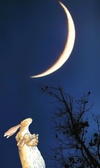 Enlarge photo 140