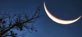 Enlarge photo 128