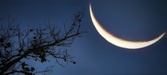 Enlarge photo 127