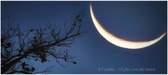 Enlarge photo 131