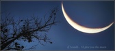 Enlarge photo 138