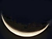 Enlarge photo 118