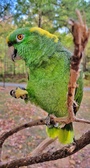 Enlarge photo 116