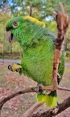 Enlarge photo 122