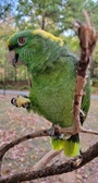 Enlarge photo 117