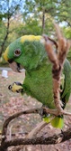 Enlarge photo 120