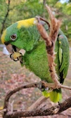 Enlarge photo 126