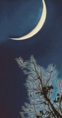Enlarge photo 139