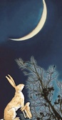 Enlarge photo 146