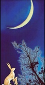 Enlarge photo 145