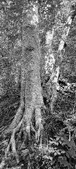 Enlarge photo 165
