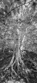 Enlarge photo 166